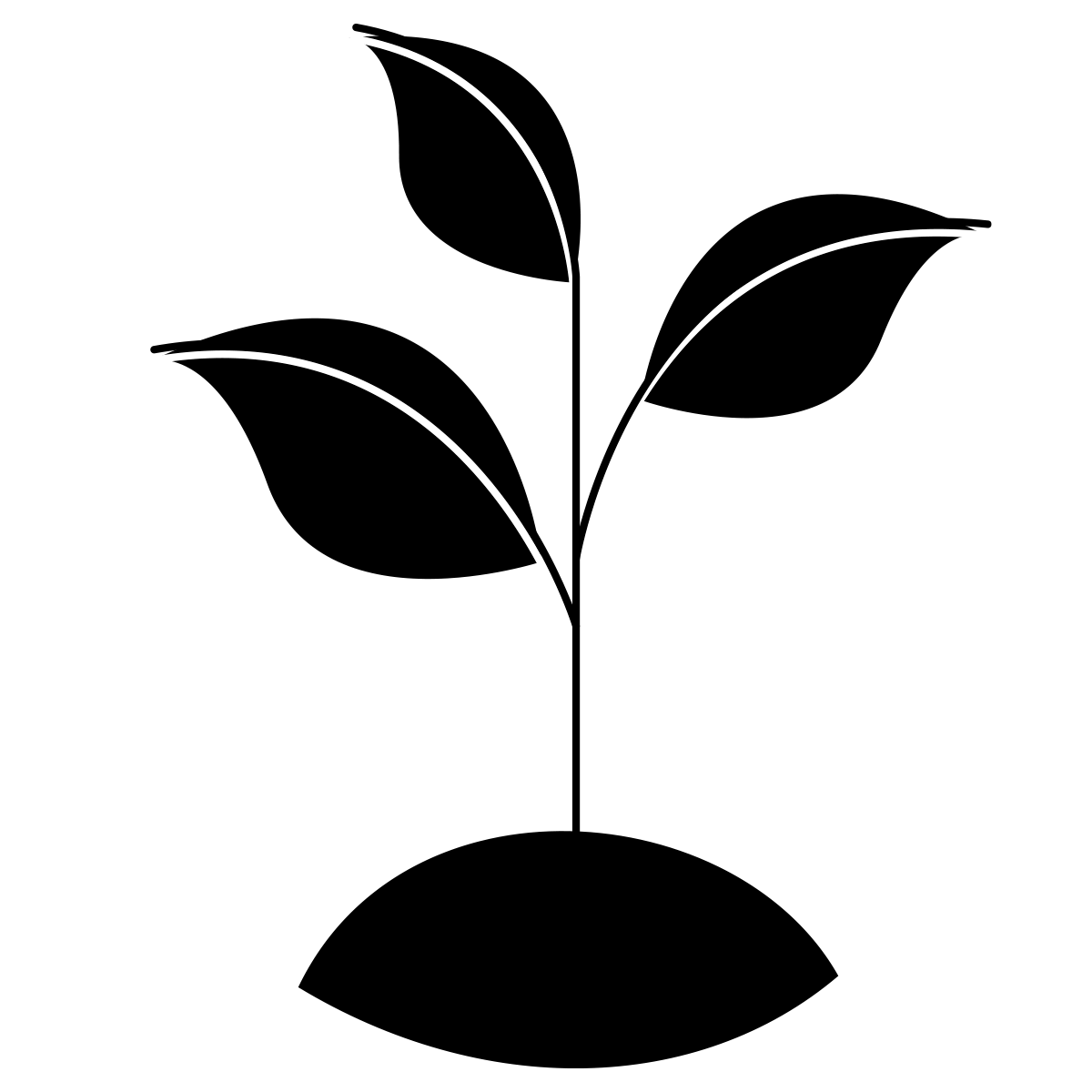 Compromiso Ecológico