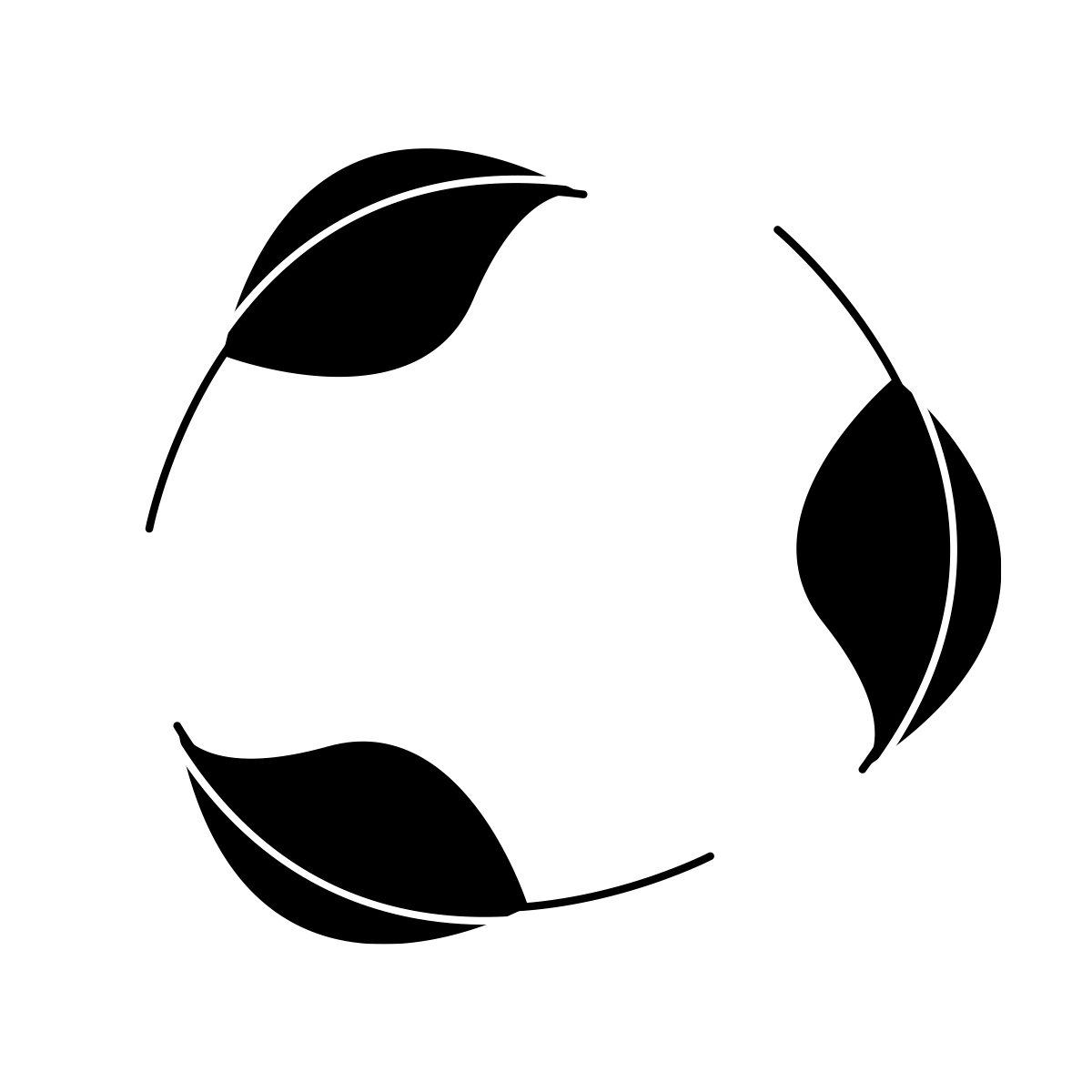 Evolución Verde Sakawa